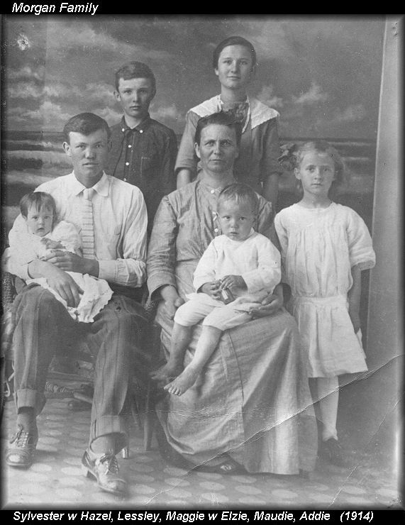 family tree